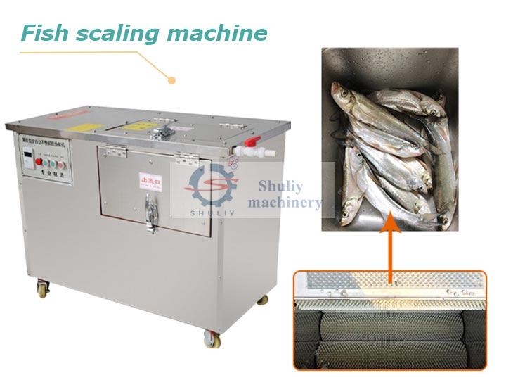 Fish scale remover machine