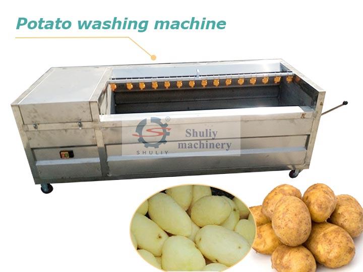 Brush potato washing and peeling machine