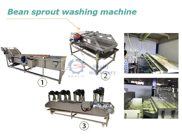 Bean sprout washing and drying machine