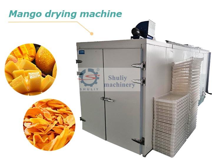 Mango drying machine